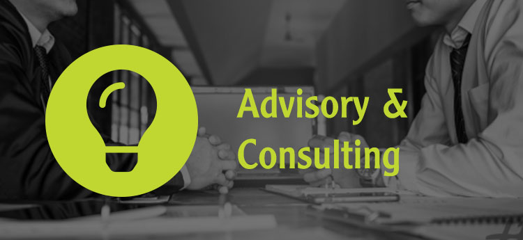 Advisory & Consulting